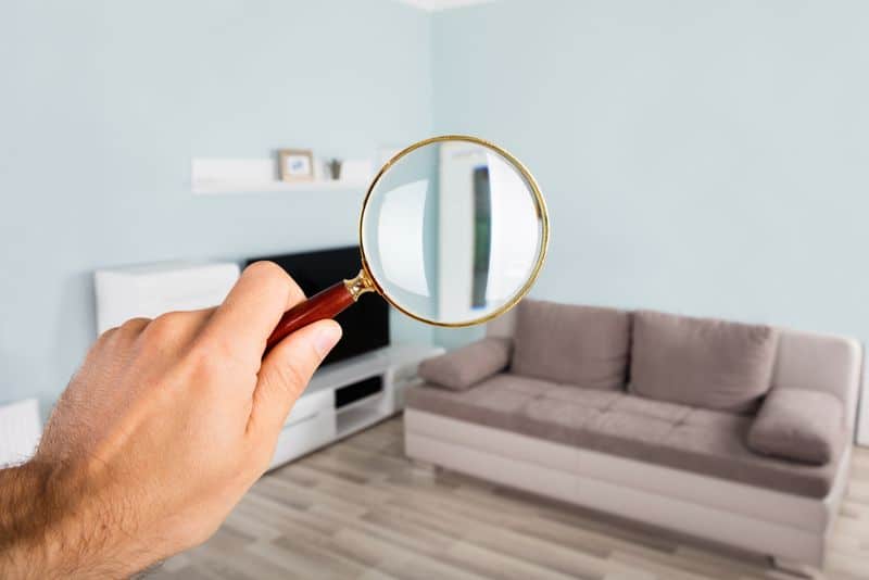 inspecting for bed bugs with magnifying glass1